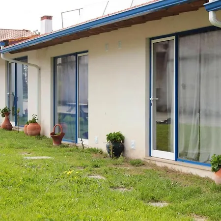 Apartament Comfortable In With Garden And Shared Pool Pataias