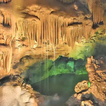 Comfortable In With Garden And Shared Pool Apartamento Pataias